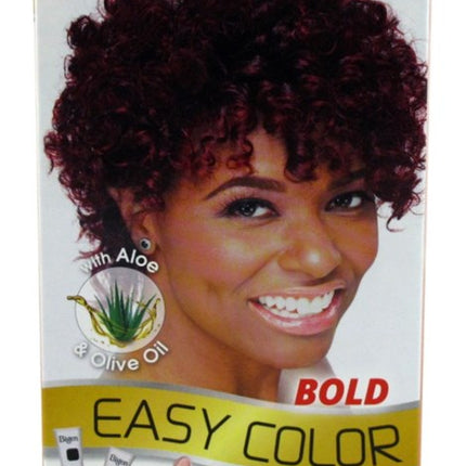Bigen Easy Color #2Rb Burgundy Kit