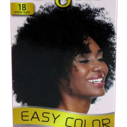 Bigen Easy Color #1B Intense Black Kit