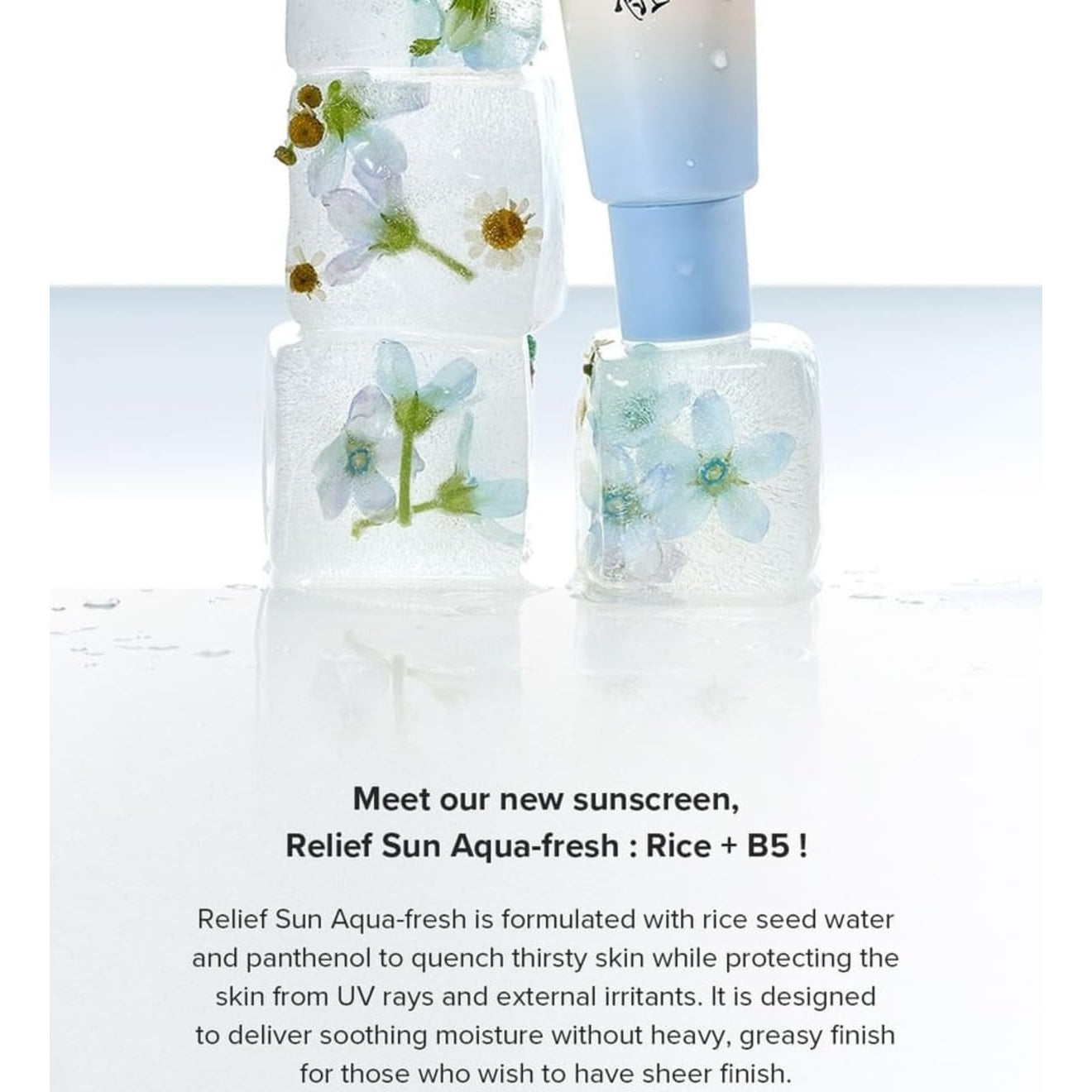 [Beauty of Joseon] Relief Sun Aqua-fresh : Rice + B5 50m